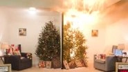 Christmas 2018 Fire Safety: US CPSC Video Shows How Dangerous Dry Xmas Trees Can Be in the Holiday Season