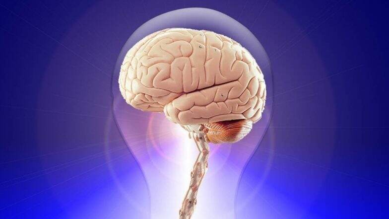 How Our Diet May Reduce Alzheimer's Risk How Our Diet May Reduce Alzheimer's Risk