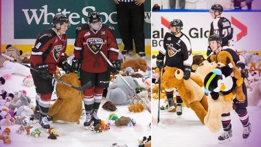 teddy bears thrown on ice