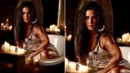 Shah Rukh Khan Explains What Husn Parcham Means With This Smouldering Hot Pic of Katrina Kaif in a Bathtub from the Song