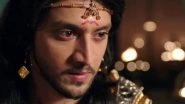 Kinshuk Vaidya QUITS Star Plus' KarnSangini Over Creative Dissatisfaction!