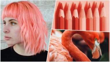 Living Coral is Pantone Color of 2019: Beautiful Images That Celebrate This 'Life-Affirming' Shade of Orange