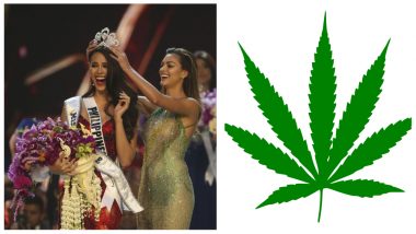 Miss Universe 2018 Catriona Gray Answers to Question On Legalisation of Marijuana: Philippines Beauty Queen Delivers Balanced Answer To Win