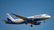 IndiGo Cancels 30 More Flights Due to Pilot Shortage
