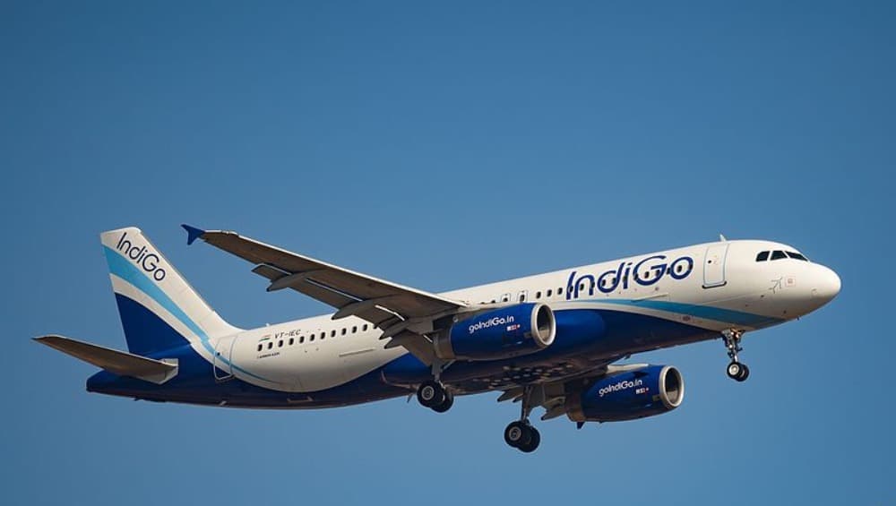 IndiGo Passenger Posts Harrowing Experience of How Pilot Threatened Her on Asking For Wheel-Chair For 75-Year-Old Mother; Read Viral Post IndiGo Passenger Posts Harrowing Experience of How Pilot Threatened Her on Asking For Wheel-Chair For 75-Year-Old Mother; Read Viral Post