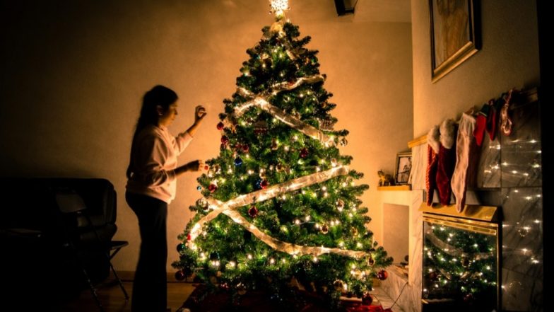 Reuse Your Christmas Trees! Know How Pine Needles Can Be Used for Household Necessities