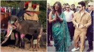 Priyanka Chopra-Nick Jonas Wedding Controversy: Not Just PETA, Even Fans Are Unhappy With The Actress For Using Animals at The Baraat - Read Tweets