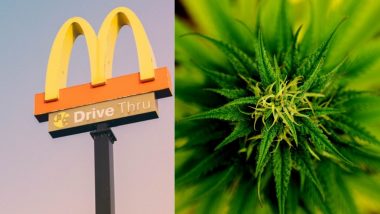 US Man Tries to Buy Food at McDonald's With a Bag of Weed