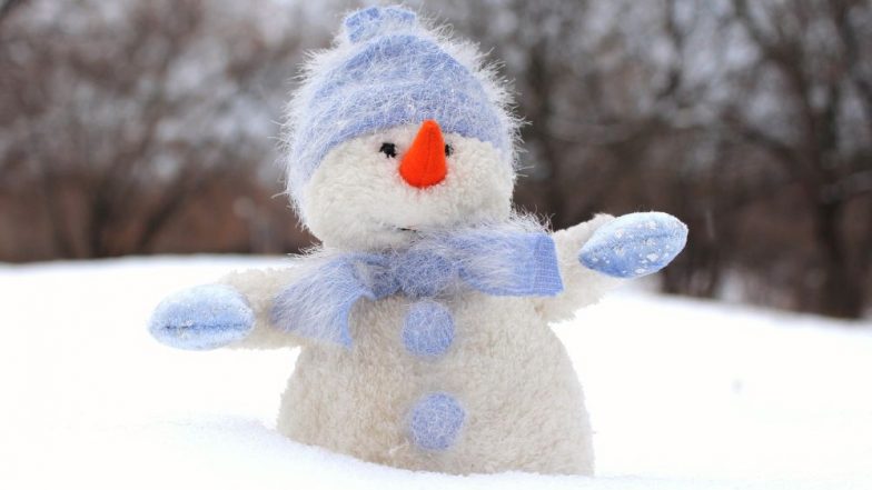 Christmas 2018: Do You Know Why We Build a Snowman on Xmas? Know How to Make It Right the Way