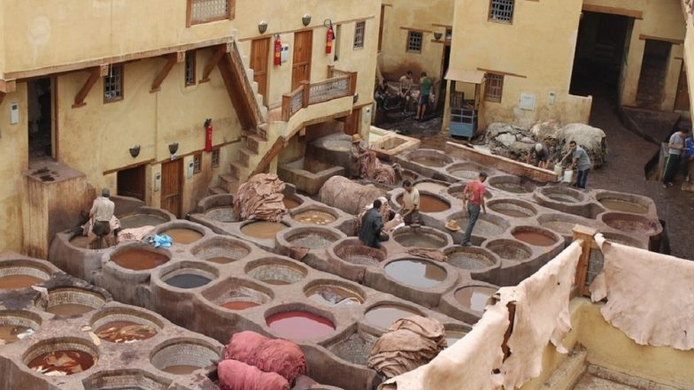 Kumbh Mela 2019: Closure of Tanneries Worries Workers and Meat, Leather Exporters