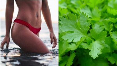 Stop Putting Parsley Into Vagina to Get Periods! Doctors Warn Women Against This Harmful Practice