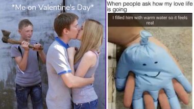 Valentine's Day 2019 Single on the Day of Love? Funny Memes, Jokes, GIFs  That Will Make You ROFL with Your Imaginary Lover | 👍 LatestLY
