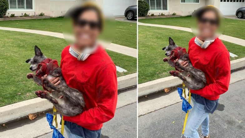 Woman Drags a Puppy Behind Her Electric Scooter, Leaves it With Bleeding Paws (Watch Horrifying Video)