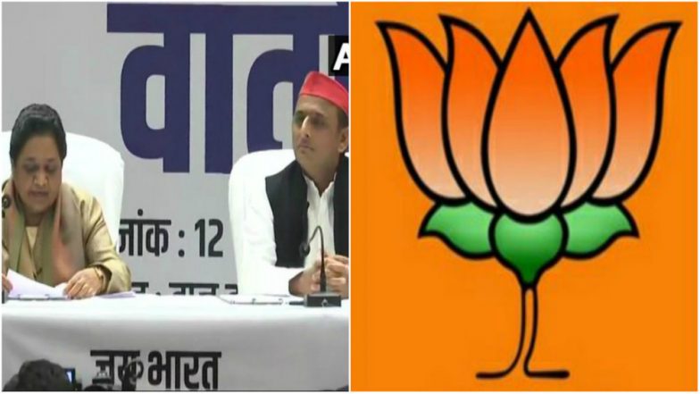 Lok Sabha Elections 2019: BJP Ally Says SP-BSP Will Put Up a Strong Fight