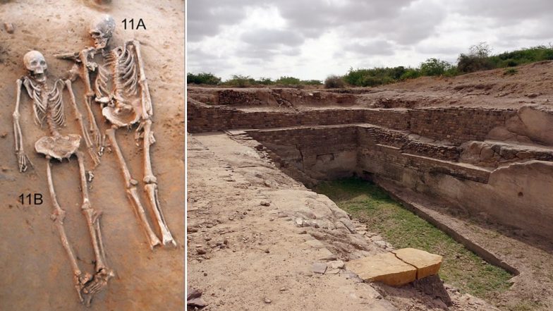 First Couple Grave Discovered In Harappan Cemetery At Rakhigari By Pune ...