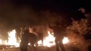 Karnataka Shocker: Cows 'Chased on Flames, Made to Walk Through Fire' as Part of Makar Sankranti Ritual; Watch Video