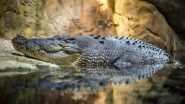 Chhattisgarh: Villagers Mourn Crocodile 'Gangaram's' Death, Decide to Set up Memorial For Their Beloved Protector
