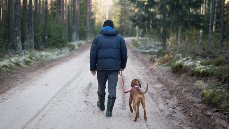 Tehran Bans Dog Walking in Public Due to Iran's Long-Standing Religious Issue Against Pooches