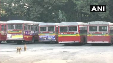 BEST Bus Strike: Mumbai Central Railway to Run Extra Trains to Curb Commuters’ Inconvenience