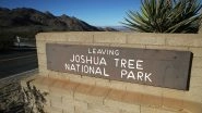 Joshua Tree National Park 'May Take 300 Years to Recover' From US Government Shutdown; Here's Why