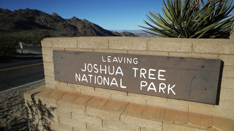 Joshua Trees May Get Wiped Out By End of Century Due to Climate Change, Says Study