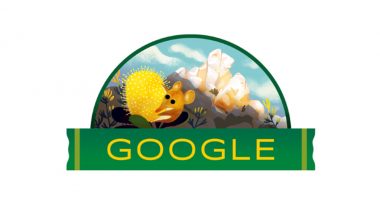 Australia Day 2019: Google Dedicates Doodle 'Celebrating Natural Beauty of the Fitzgerald River National Park'