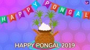 Pongal Images & HD Wallpapers for Free Download Online: Wish Happy Thai Pongal 2019 With Beautiful GIF Greetings & WhatsApp Sticker Messages