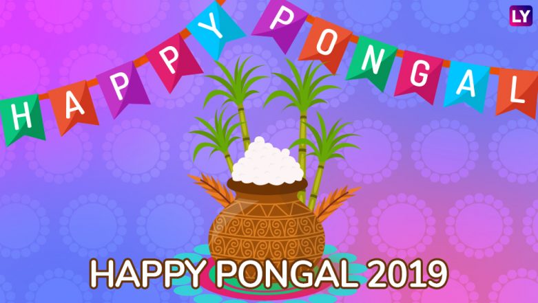Pongal Images & HD Wallpapers for Free Download Online: Wish Happy Thai  Pongal 2019 With Beautiful GIF Greetings & WhatsApp Sticker Messages | 🙏🏻  LatestLY