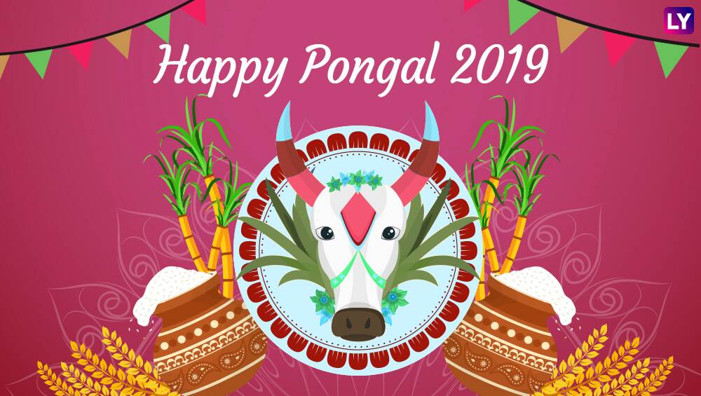 Lohri Makar Sankranti Pongal 2019 Advanced Wishes 