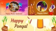 Lohri, Makar Sankranti & Pongal 2019 Advanced Wishes: WhatsApp Messages & Stickers, GIF Images, SMS & Facebook Photos to Share on these Harvest Festivals