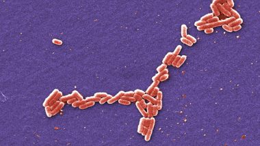 New Nano Device Can Rapidly Detect Harmful Bacteria in Blood to Help Beat Potentially Deadly Infections