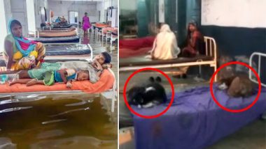 Bihar Shocker: Stray Dogs Occupy Beds at Nawada Govt Hospital, Patients Sleep on Floor