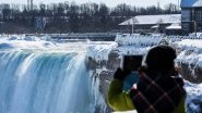 Niagara Falls Freezes! Check Out Mesmerising Photos And Videos of the Icy Waterfall on US And Canada Border