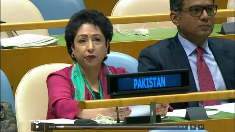 Pakistan Launches Attack on India's Quest for Permanent Seat on UNSC Pakistan Launches Attack on India's Quest for Permanent Seat on UNSC