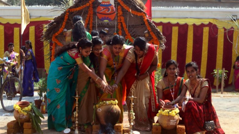 Pongal 2019 Celebrations in Tamil Nadu with Traditional Fervour