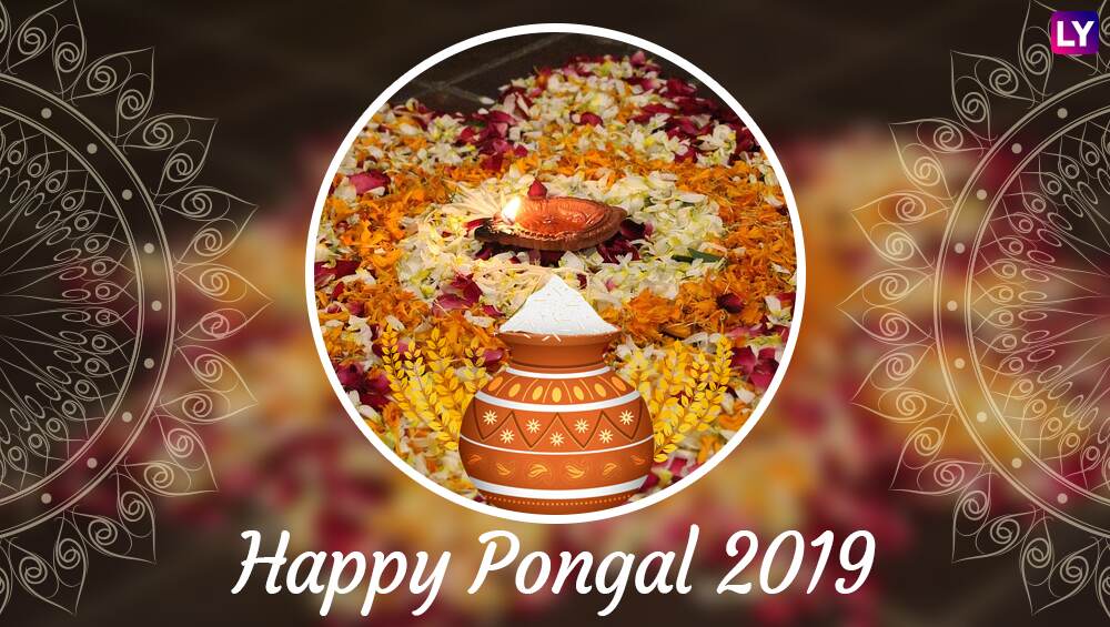 Pongal Images &amp; HD Wallpapers for Free Download Online ...