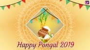 Pongal 2019 Wishes in Tamil & Telugu: WhatsApp Stickers, Messages, SMS, Facebook Status, GIF Image Greetings to Wish on Thai Pongal