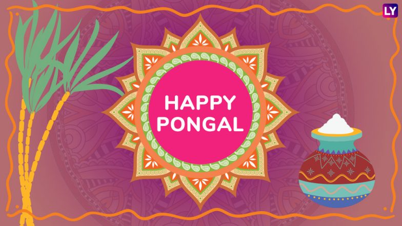 Happy Pongal 2019 Greetings Best WhatsApp Hike Stickers