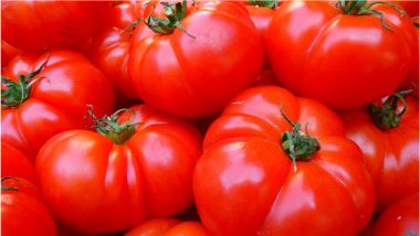 Spicy Tomatoes Will Soon Become a Reality as Scientists Will Genetically Engineer the Fruit