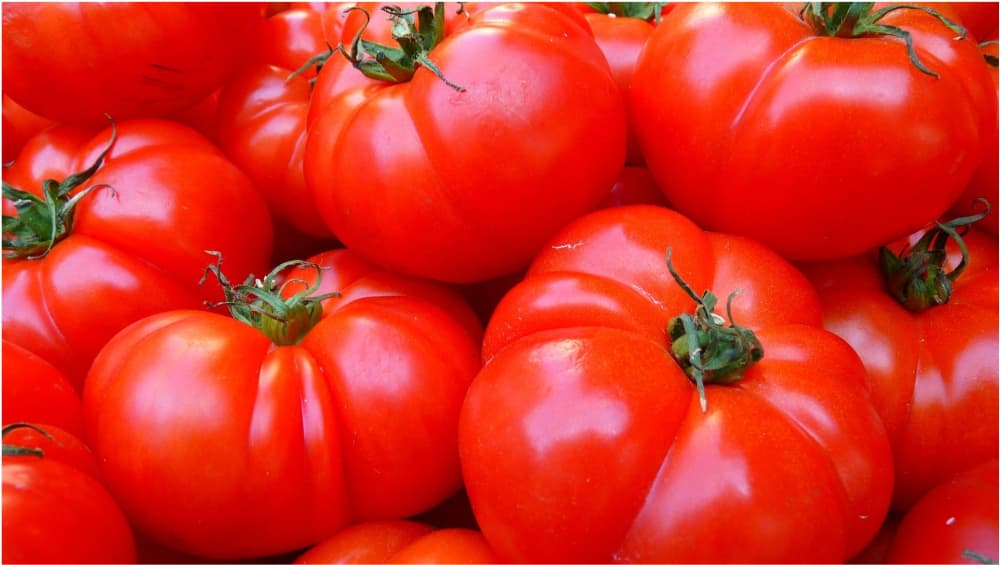Tomato Price Hits Rs 400 Per Kilo Mark in Pakistan Tomato Price Hits Rs 400 Per Kilo Mark in Pakistan