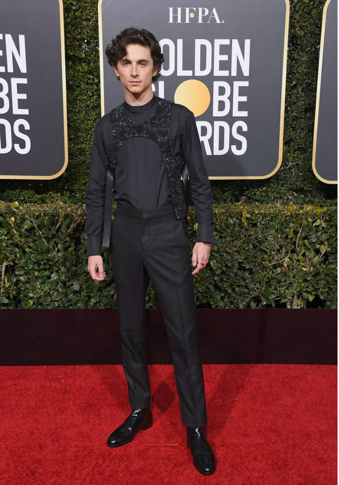 Timothée Chalamet Wears Louis Vuitton 'Embroidered Bib' and Not a Harness  at Golden Globes 2019 Red Carpet (See Pics)