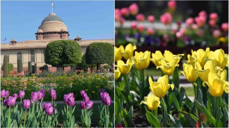 Udyanotsav 2019 Dates & Tickets: Rashtrapati Bhavan's Mughal Gardens to Open for Visitors; Book Online at rb.nic.in Udyanotsav 2019 Dates & Tickets: Rashtrapati Bhavan's Mughal Gardens to Open for Visitors; Book Online at rb.nic.in