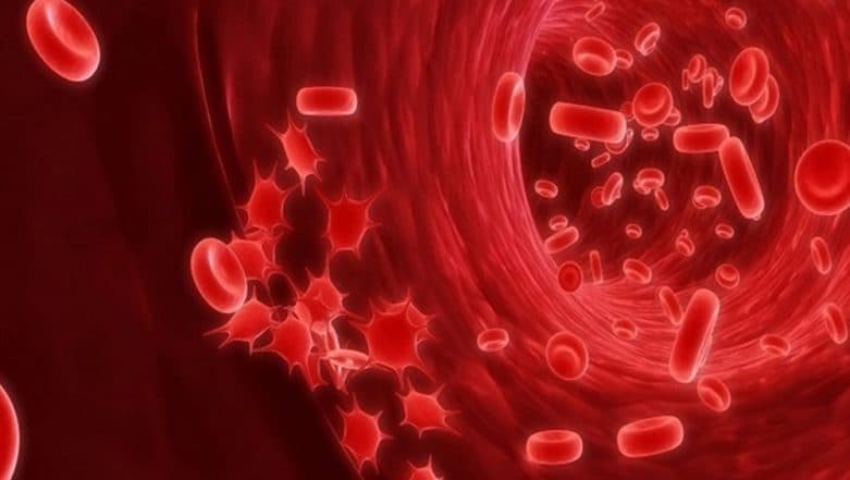 Swiss Scientists Develop Tiny Swimming Robots That Can Swim Through Blood Vessels to Deliver Drugs Swiss Scientists Develop Tiny Swimming Robots That Can Swim Through Blood Vessels to Deliver Drugs