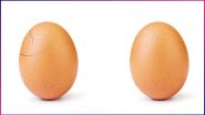 The World Record Egg on Instagram Is Cracking! Here's What People Think Will Come Out of It, View Pic