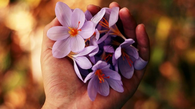 5 Beautiful Flowers That You Can Eat for Numerous Health Benefits