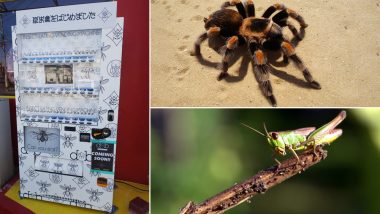 Insect Vending Machine in Japan! Salted Crickets, Crunchy Beetles and Canned Tarantulas are a Big Hit as Snacks Here