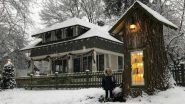 Library Under the Tree! Idaho Woman Turns 110-Year-Old Tree Stump Into a Cool Little Library & Book Lovers Are in Love With It (View Pictures)