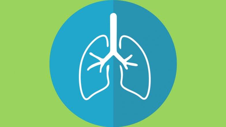 World Cancer Day 2019: 7 Factors That Affect Survival Rates in Lung Cancer Patients World Cancer Day 2019: 7 Factors That Affect Survival Rates in Lung Cancer Patients