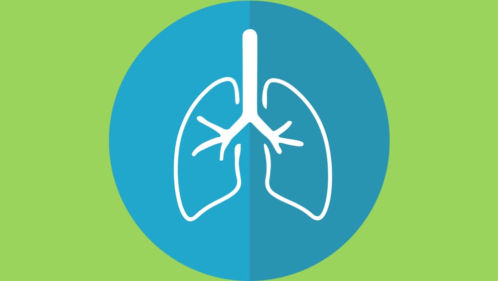 From Household Cleaners to Cosmetics, Toxic Products That Can Be As Damaging To Your Lungs as Smoking Cigarettes From Household Cleaners to Cosmetics, Toxic Products That Can Be As Damaging To Your Lungs as Smoking Cigarettes