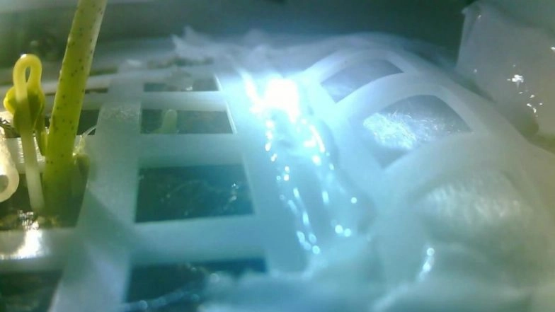 China's Lunar Lander Chang'e 4 Grows First Plant on Moon (See Pictures)
